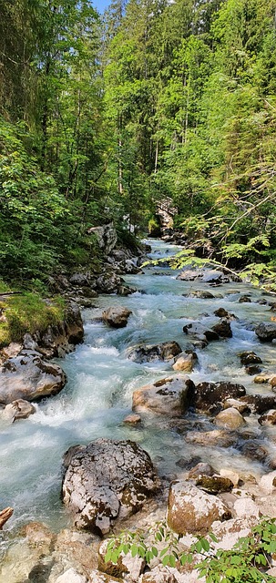 Free Wild Water Nature photo and picture