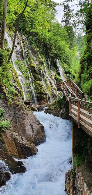 Free Wild River Gorge Alpine River photo and picture
