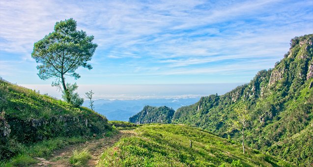 Devil ' S Staircase, Sri Lanka Berge