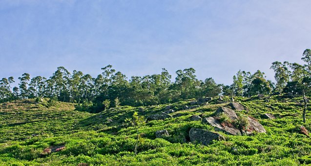 Devil ' S Staircase, Sri Lanka Berge