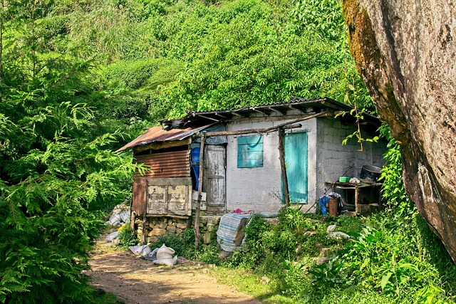 Free Green House photo and picture