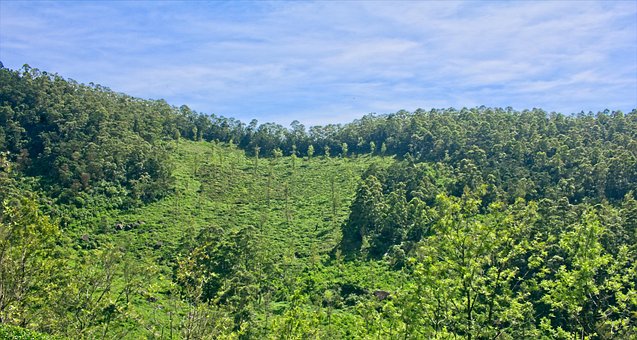 Devil ' S Staircase, Sri Lanka Berge