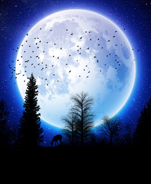 Hirsch, Mond, Raum, Die Natur