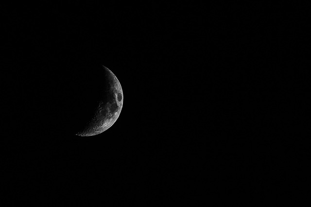 Free Luna Growing photo and picture