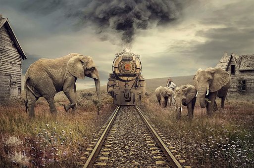 Free Elephant Tunnel photo and picture