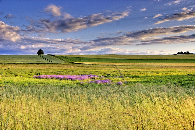 Free Landscape Grasslands photo and picture