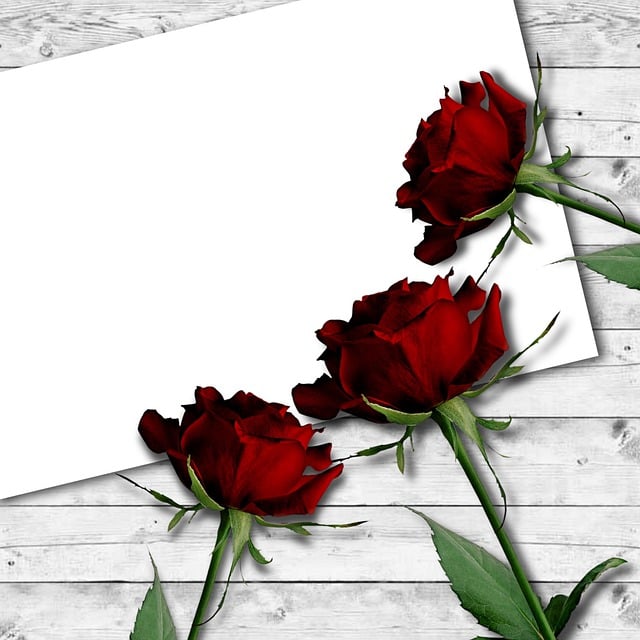 Free wood paper red rose illustration
