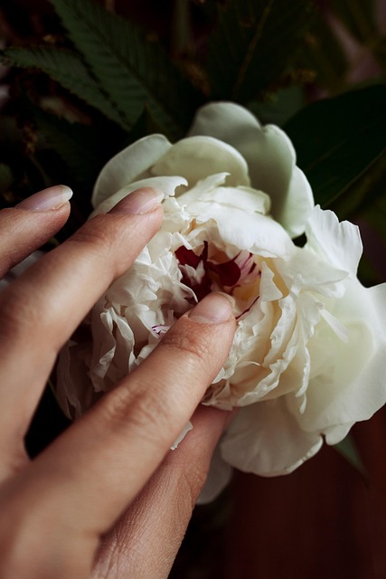Free Macro Flower Wallpaper photo and picture