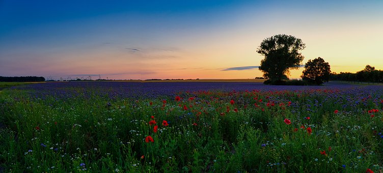 Panorama, Landskapsbilder, Himmel, Natur