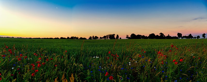 Soloppgang, Landskap, Panorama, Natur