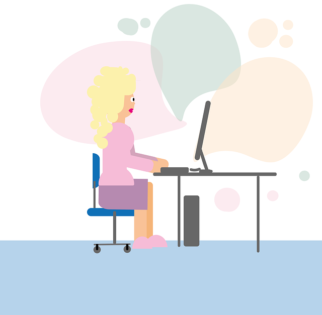 Video-Konference, Webinar