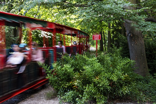 Zug, Beschleunigen, Park, Lokomotive