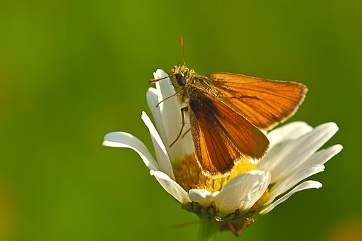 파산 신청후 부 거래.신고4