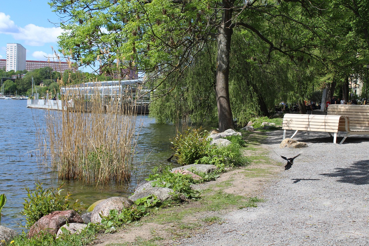 Lake Reed Park Foto gratuita no Pixabay Pixabay