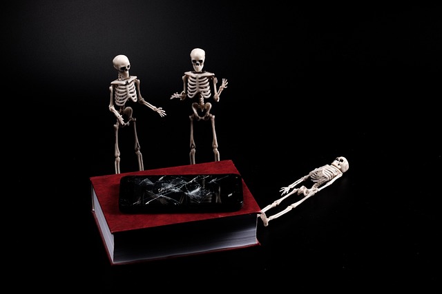 Free Medicine Skeleton photo and picture