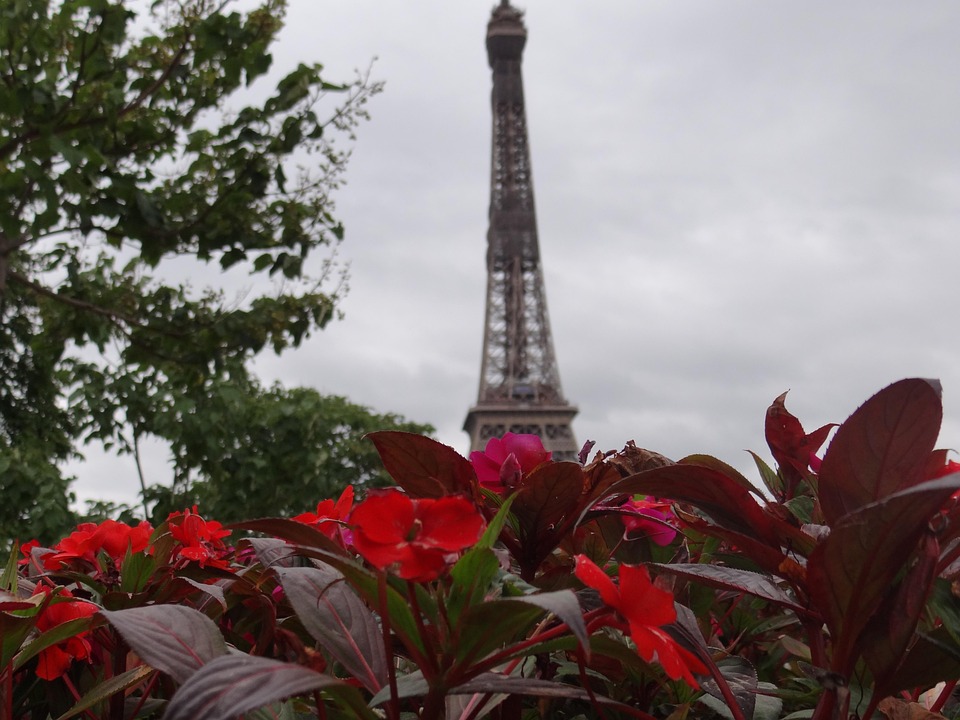 Paris En Fleurs France Tour - Free photo on Pixabay - Pixabay