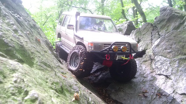 Free Pajero Crawler photo and picture