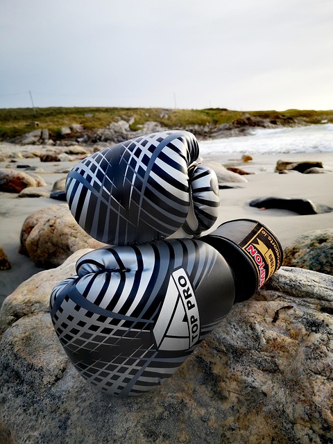 Free Boxing Gloves Sport photo and picture