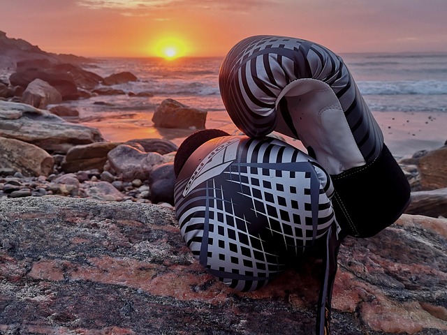 Free Boxing Gloves Sport photo and picture