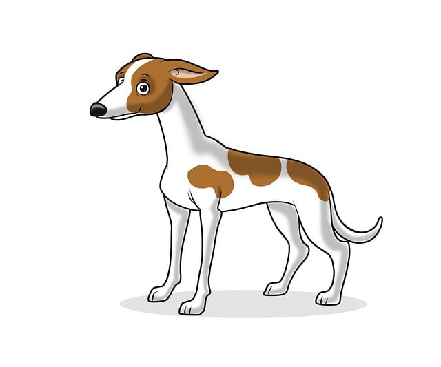 Free dog greyhound animal illustration