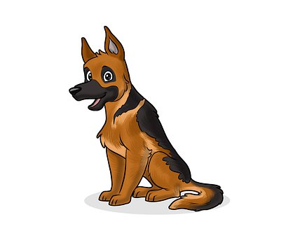 Hund, Sheferd, Dyr, Kjæledyr, Søt