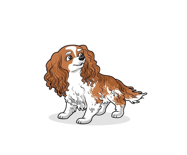 Free spiral nature dog illustration