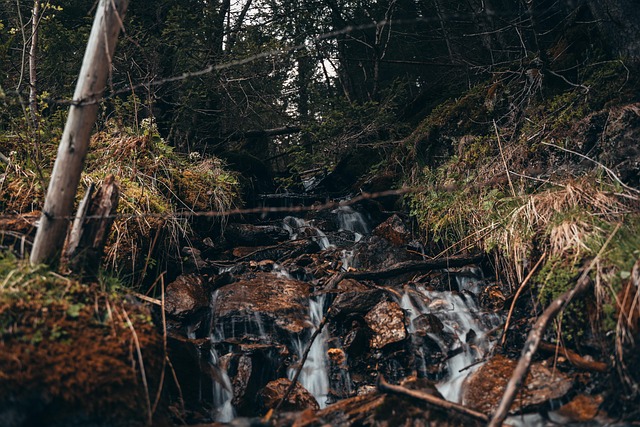 Free Nature Water photo and picture