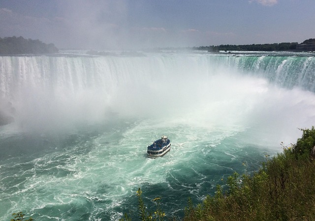 Free Case Tourist photo and picture
