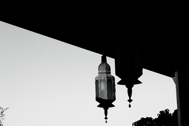 Free Black Chandelier photo and picture