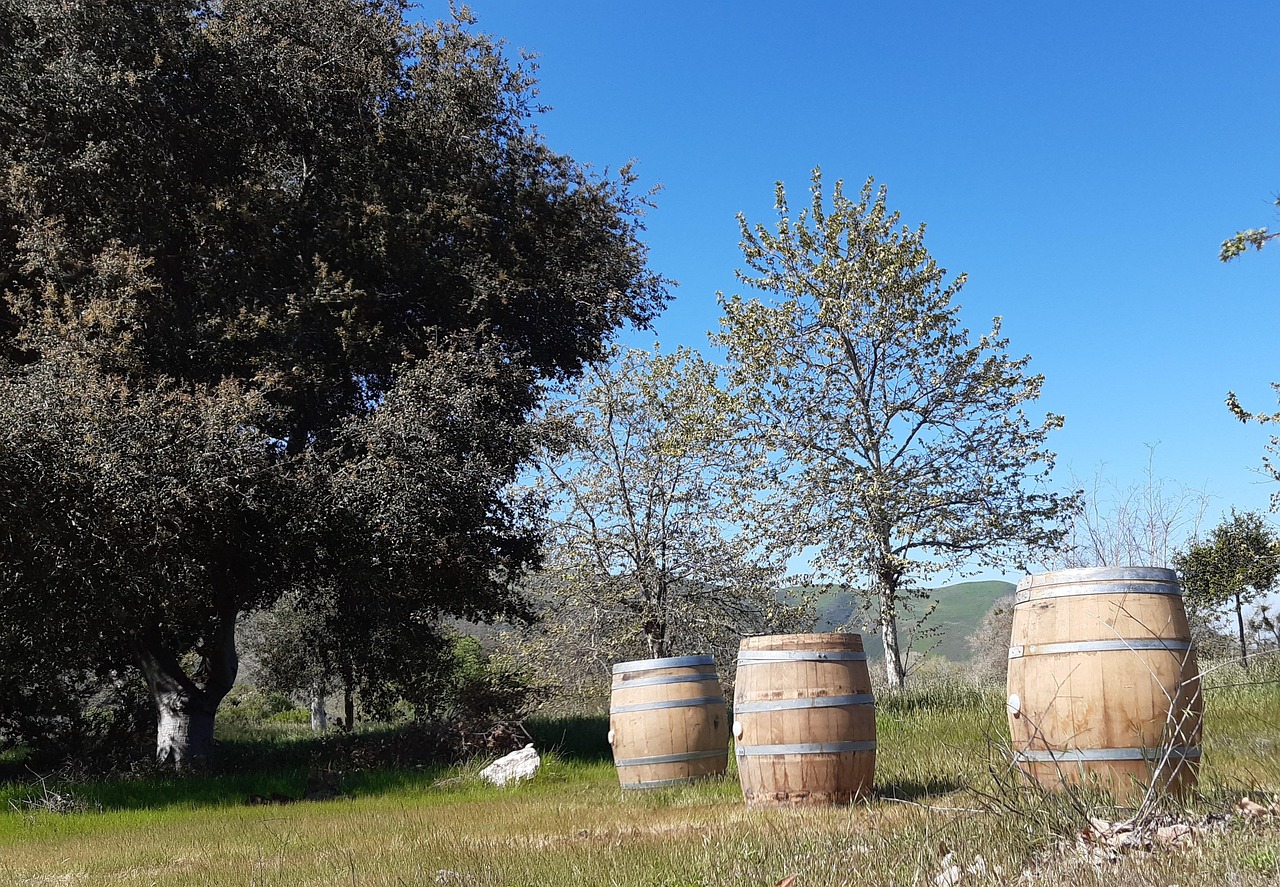Wine Barrels Santa Ynez Valley Free photo on Pixabay Pixabay