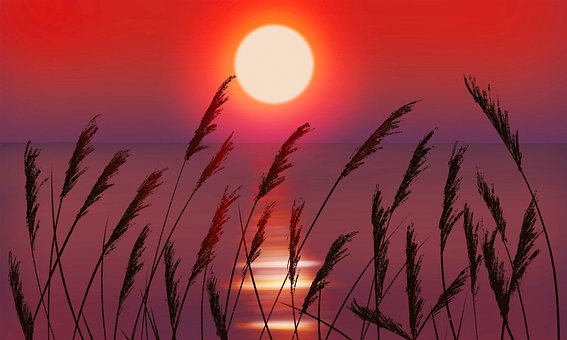 Download Strand solnedgang vaeg kunst Free HD Strand Solnedgang Vaeg Kunst
