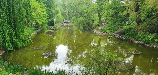 Free Green Holiday photo and picture