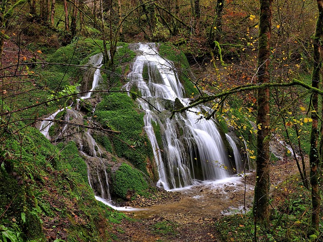 Free Cascade Forest photo and picture