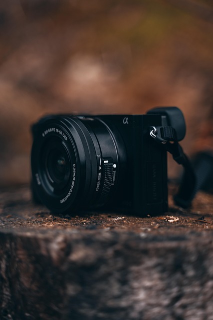 Free Camera Photography photo and picture