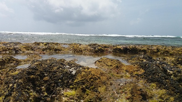 beach, water, sea, ocean, wave, blue, nature, darling, tropical, caribbean, turquoise