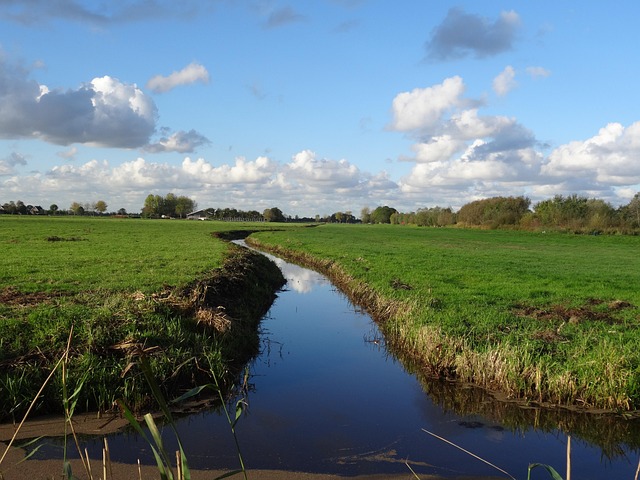 圩田 沟 草 - Pixabay上的免费照片 - Pixabay