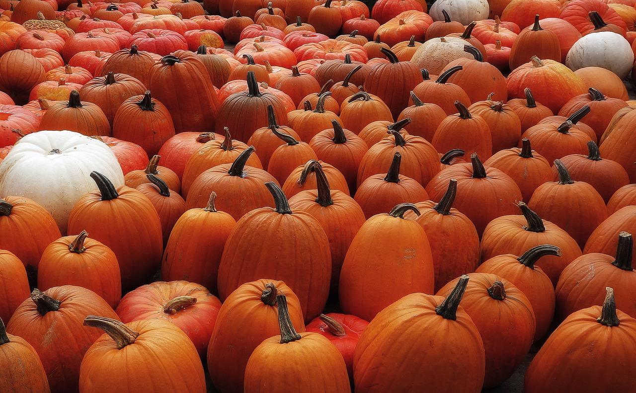Pumpkin - free online jigsaw puzzle photo
