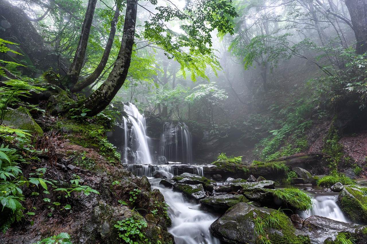 Landscape - free online jigsaw puzzle photo
