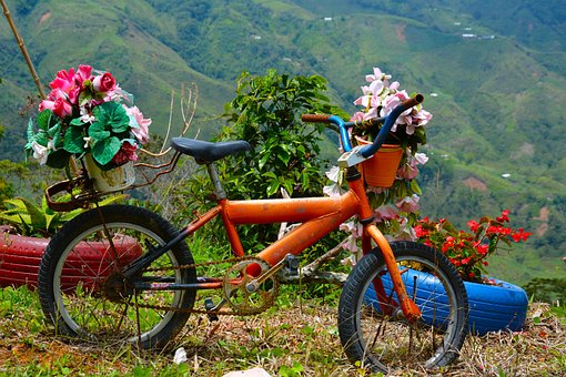 Bicicleta, Jardin, Patio, Hierba
