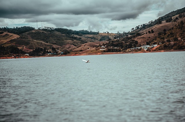 Free Lago Paisaje photo and picture