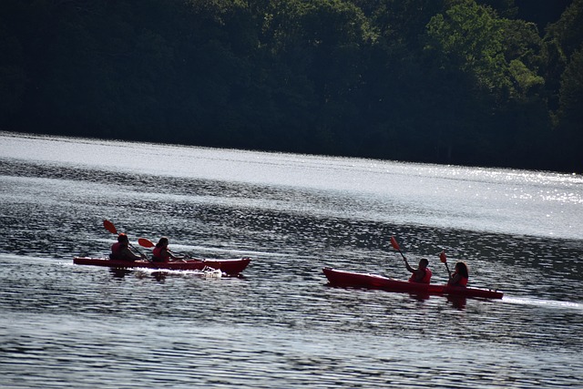 Free Kayak Lake photo and picture