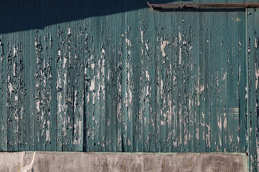 Free Texture Wood photo and picture
