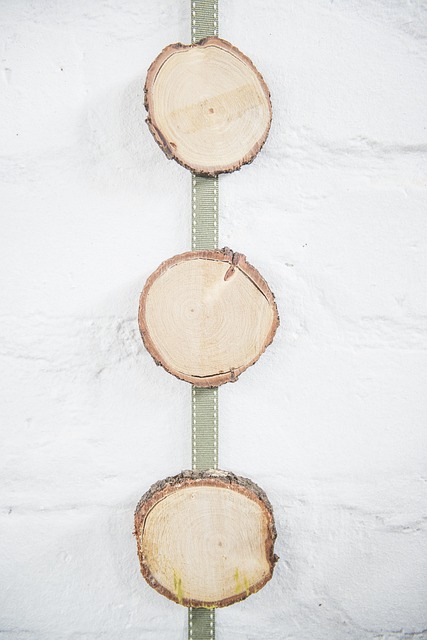 Free Wood Slice photo and picture