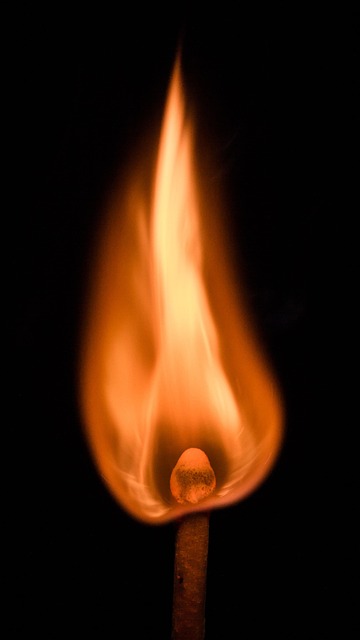 Free Match Fire photo and picture