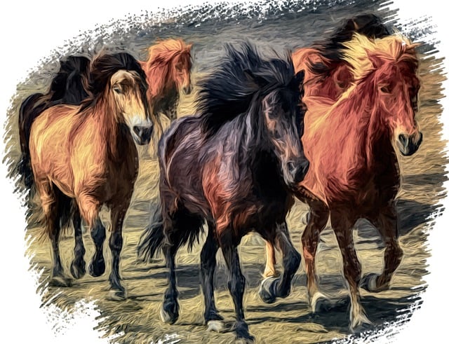 Free horse running animal illustration