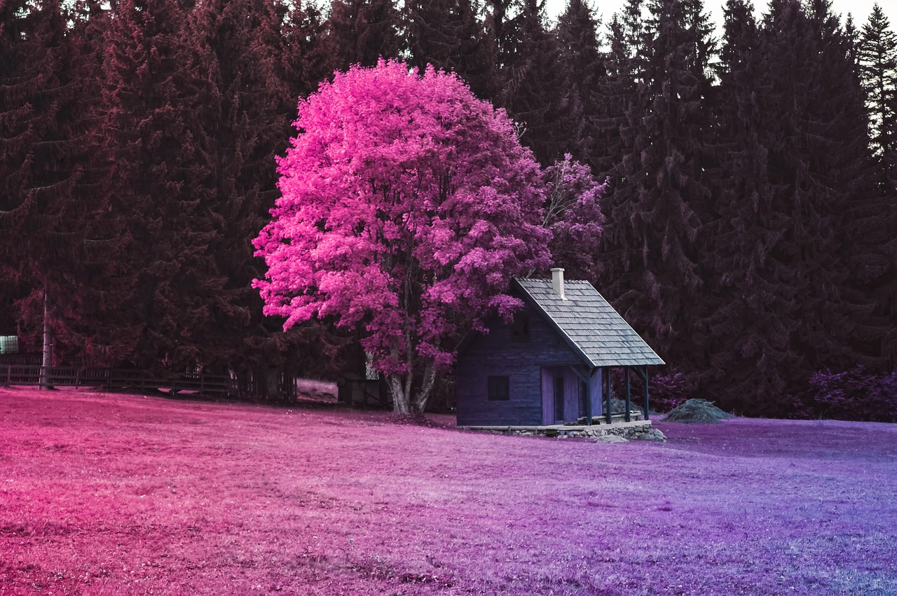 House - free online jigsaw puzzle photo