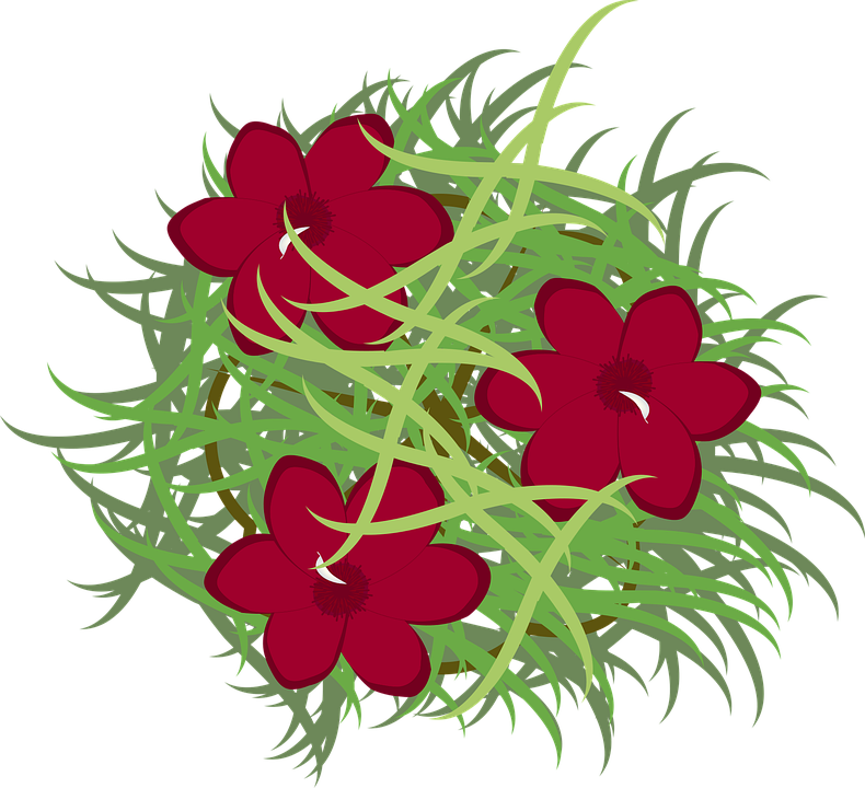 夹竹桃衬套盛开 免费矢量图形pixabay