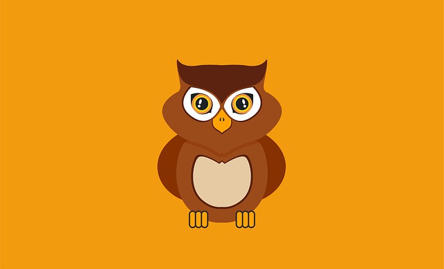 Uil, Vogel, Natuur, Dier, Textuur, Uniek