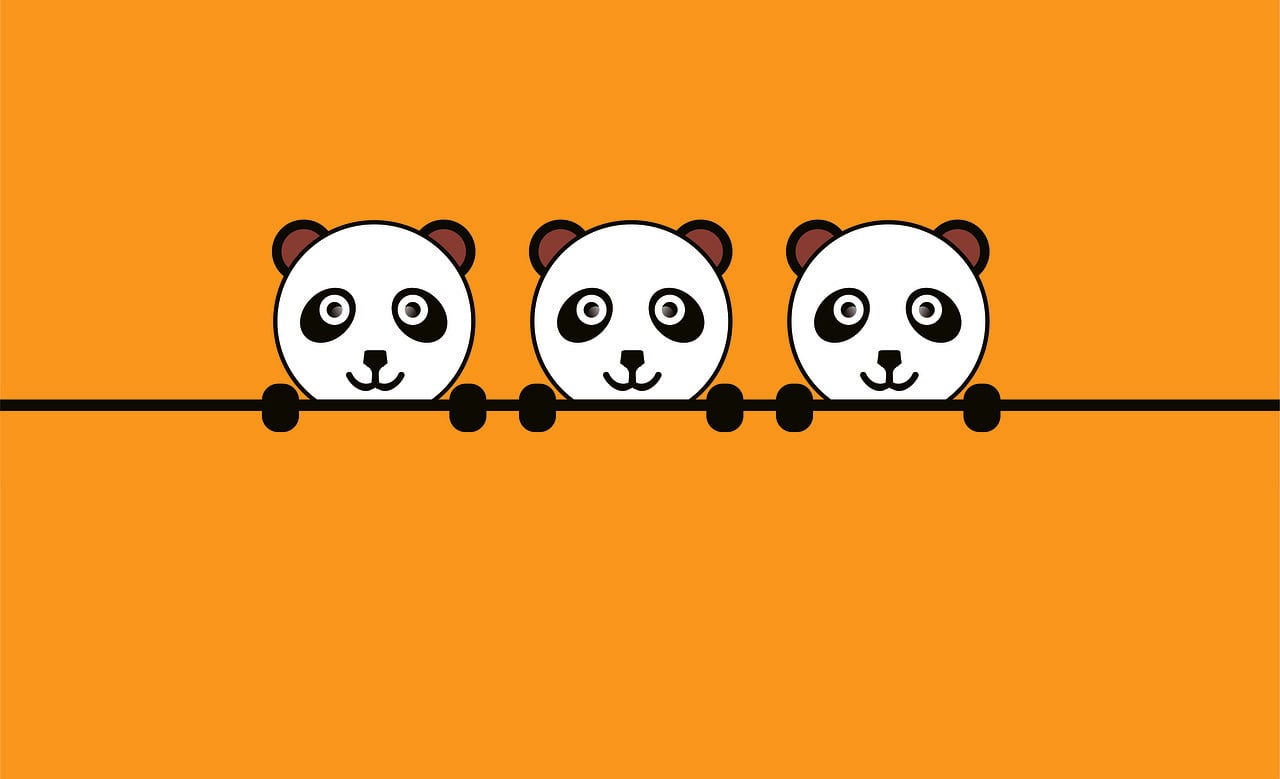 Panda Animal Texture - Free image on Pixabay