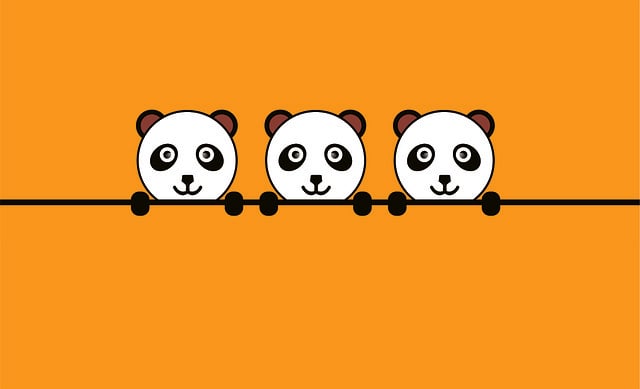 Free panda animal texture illustration